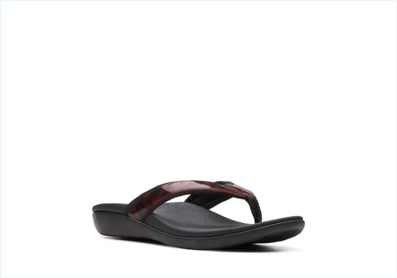  Brio Sol / Tortoiseshell Womens Sandals