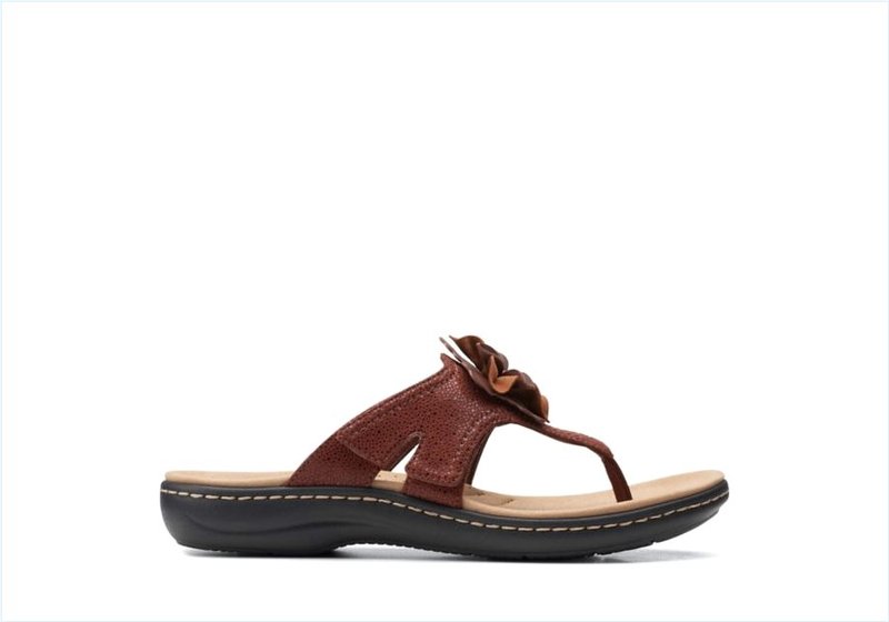 Laurieann Gema / Brown Womens Sandals Laurieann Gema / Brown Womens Sandals